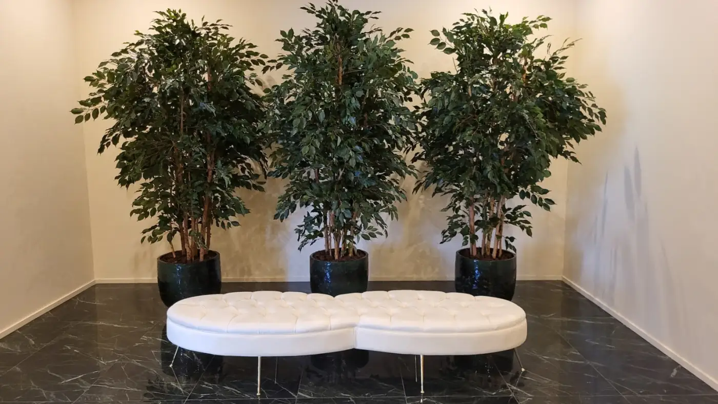 Innovation in funeral home set-up