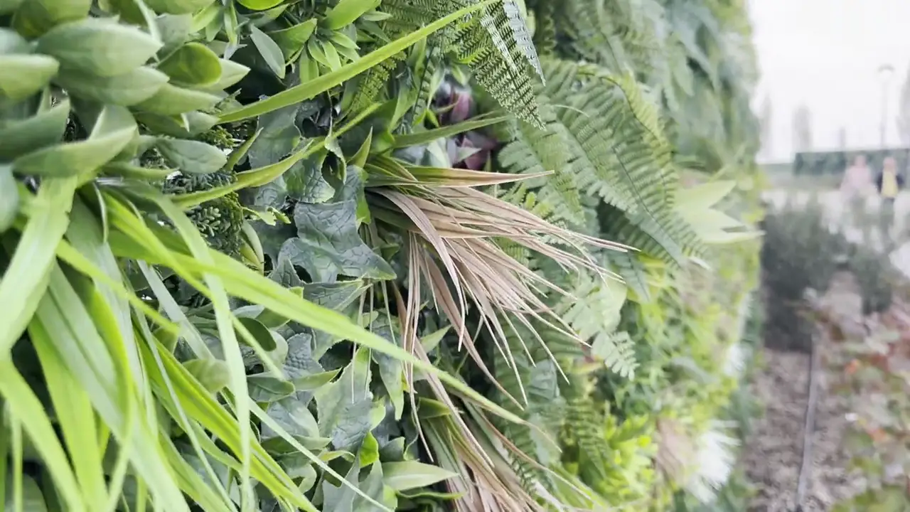 Foliage detail of an outdoor BASiC vertical garden