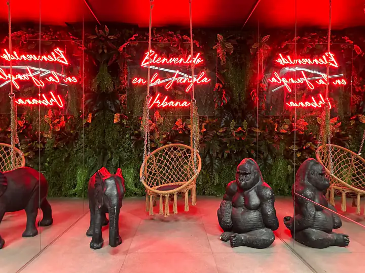 Come nascono i nostri giardini verticali artificiali – foto 9