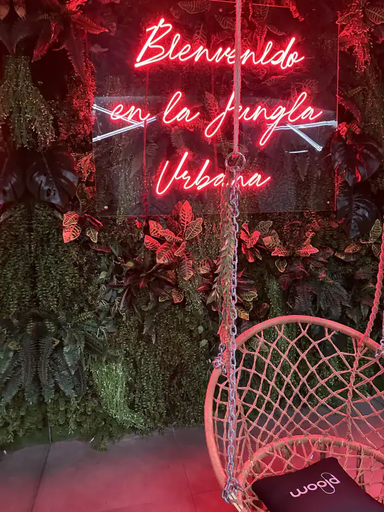 Hierbas Milan – photo 4