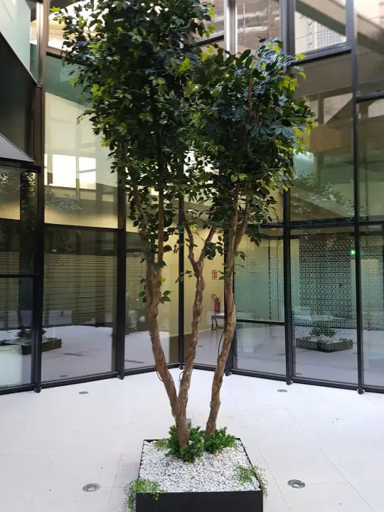 Pianta artificiale di 5 metri nella sede BNL di Torino