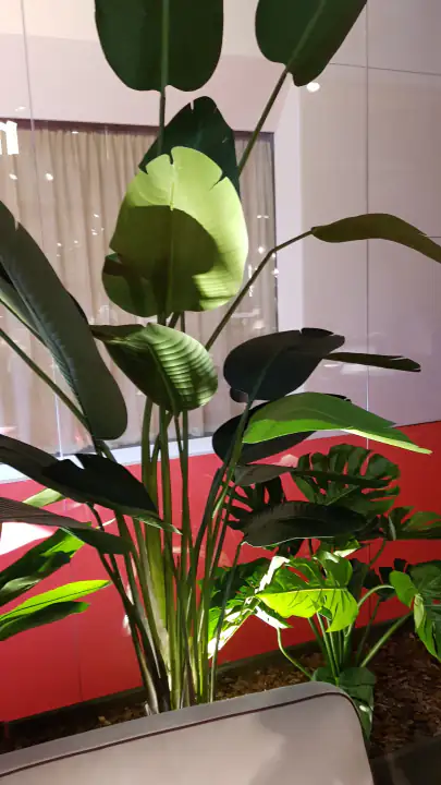 Salone del Mobile di Milano – foto 8